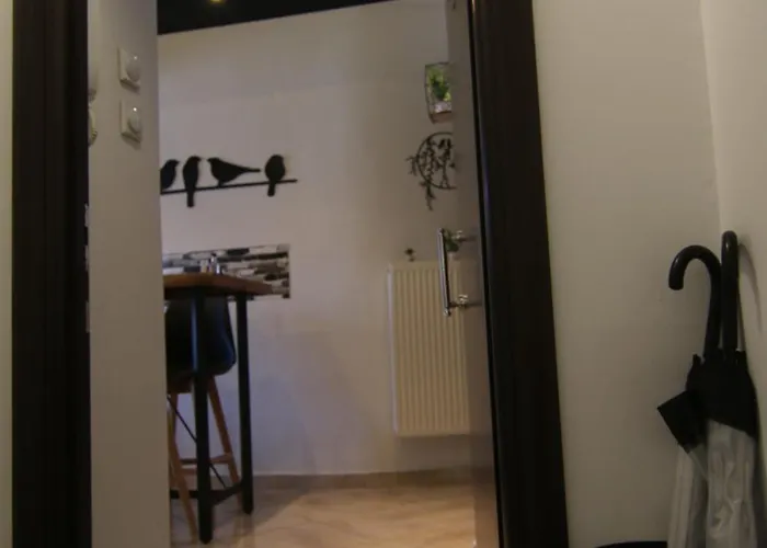 Spitaki 公寓 卡斯托里亚